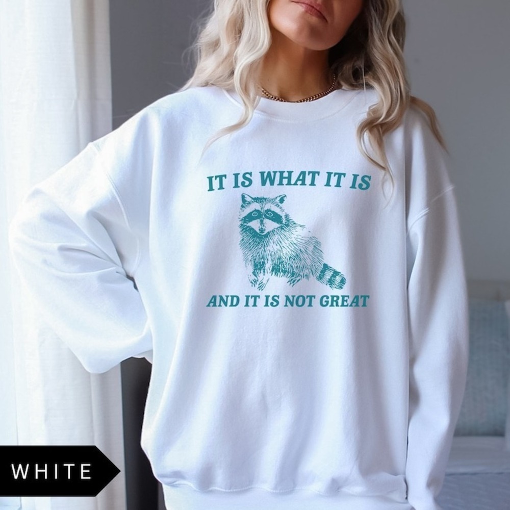 It Is What It Is And It Is Not Great Sweatshirt, Meme Sweatshirt - Picture 1 of 4
